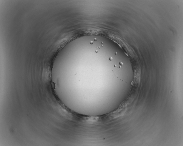 X0000111790474200908061140