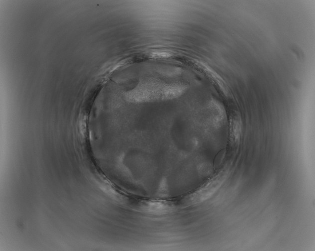 X0000111790475200908061140