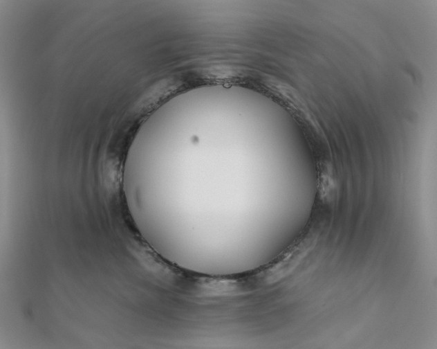 X0000111790476200908061140