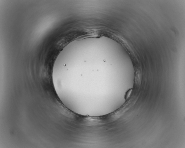 X0000111790477200908061140