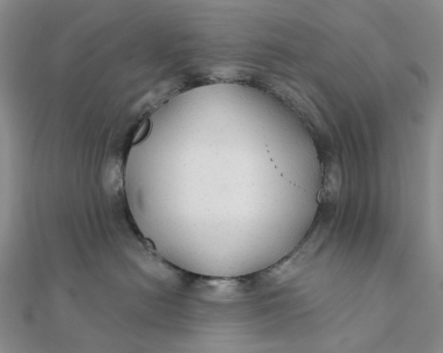 X0000111790478200908061140