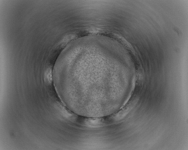 X0000111790479200908061140