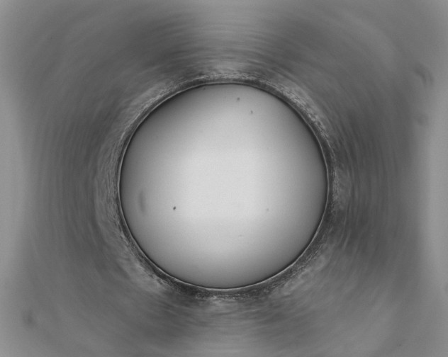 X0000111790481200908061140