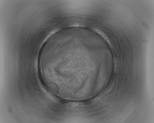 X0000111790482200908061140