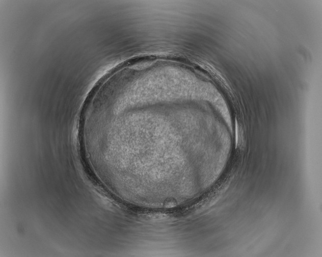 X0000111790483200908061140