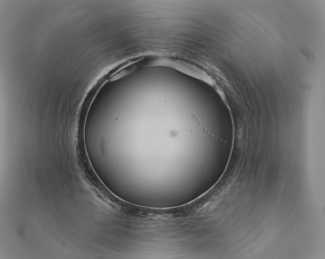 X0000111790484200908061140