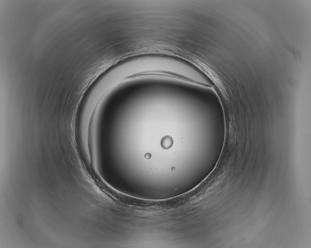 X0000111790485200908061140