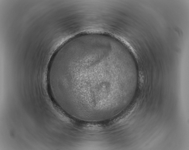 X0000111790487200908061140