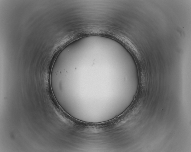 X0000111790489200908061140