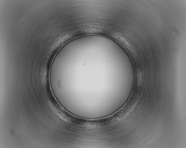 X0000111790490200908061140