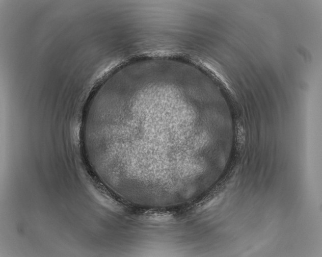 X0000111790491200908061140