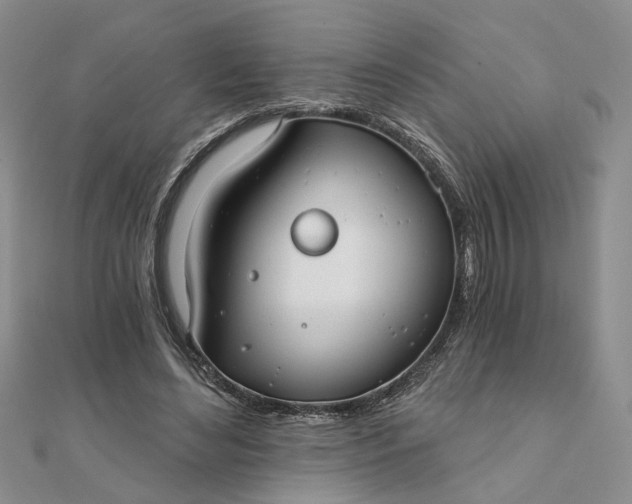 X0000111790492200908061140