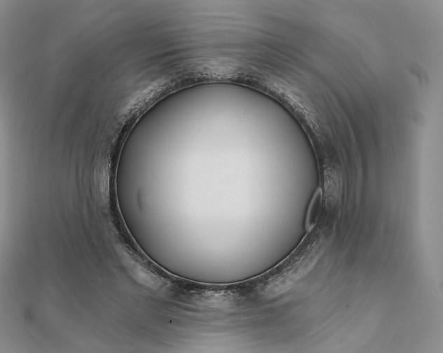 X0000111790493200908061139