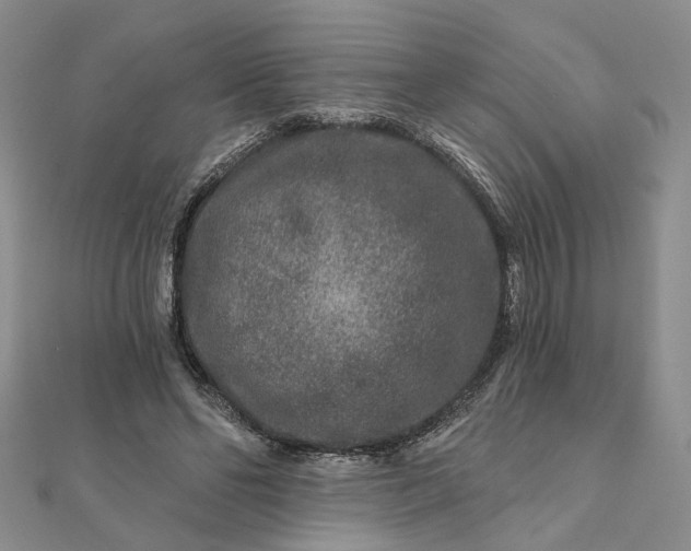 X0000111790494200908061139