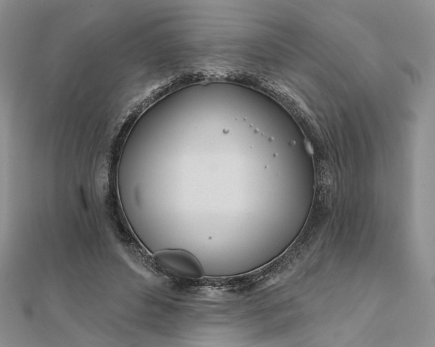 X0000111790496200908061139