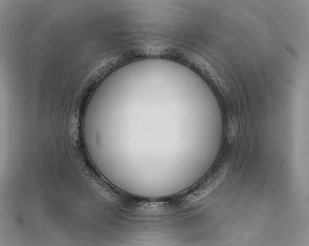 X0000111790497200908061139