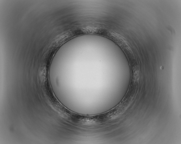 X0000111790498200908061139