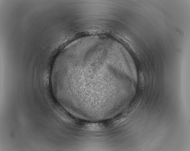 X0000111790499200908061139