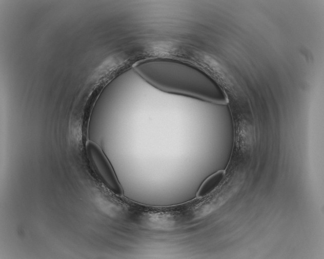 X0000111790500200908061139