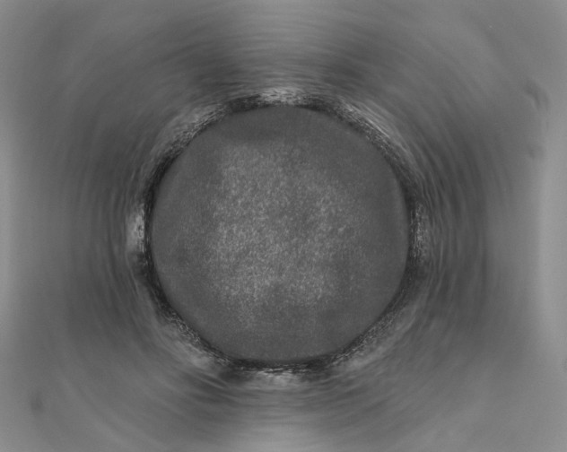 X0000111790502200908061139