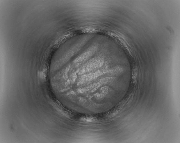 X0000111790503200908061139