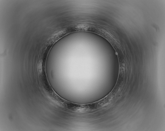 X0000111790504200908061139