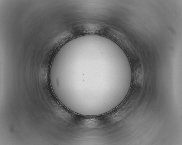 X0000111790505200908061139