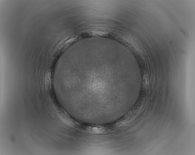 X0000111790506200908061139