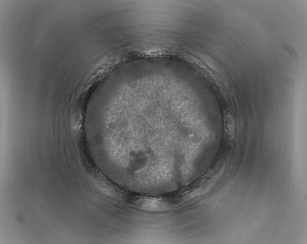 X0000111790507200908061139