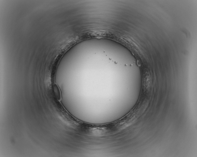 X0000111790508200908061139