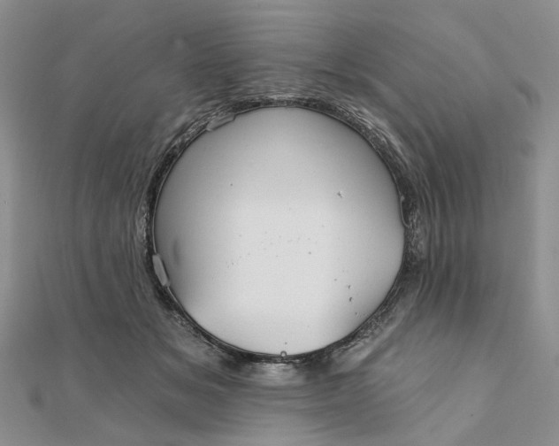 X0000111790509200908061139