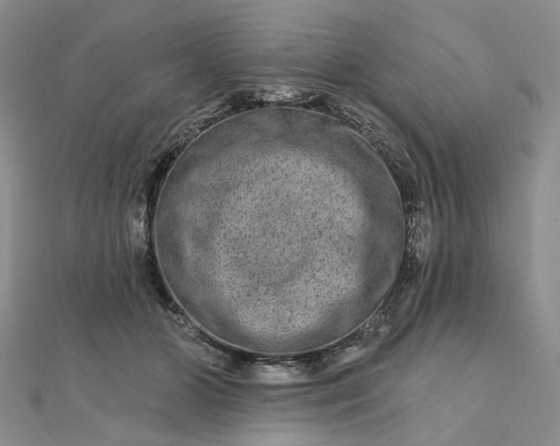 X0000111790510200908061139