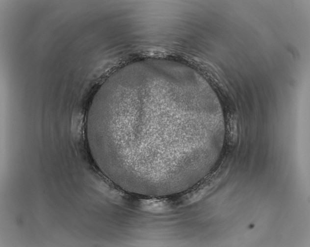 X0000111790511200908061139