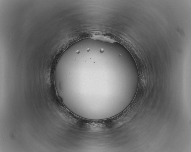 X0000111790512200908061139