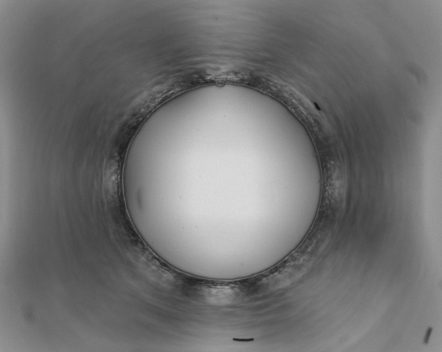 X0000111790513200908061139