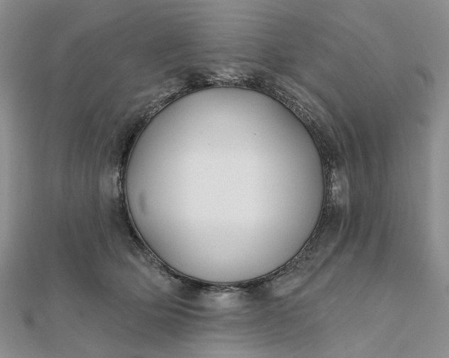 X0000111790514200908061139