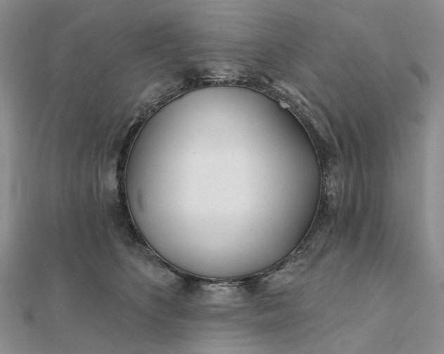 X0000111790516200908061139