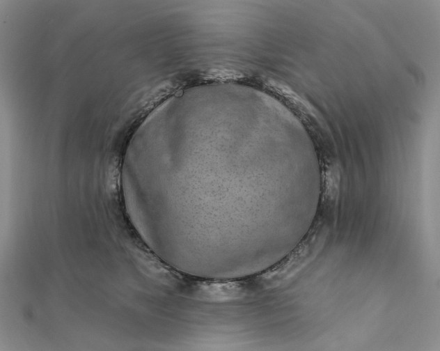 X0000111790517200908061139