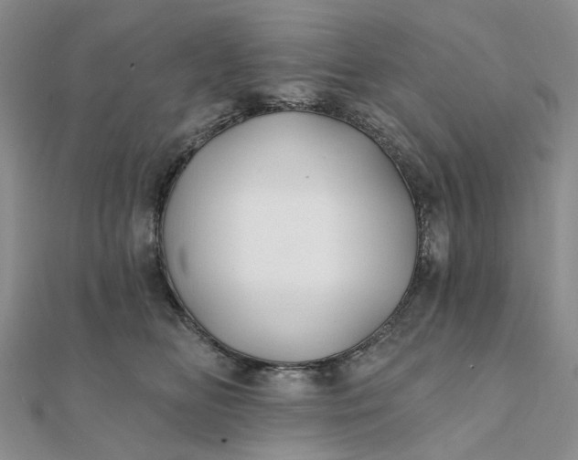 X0000111790518200908061139