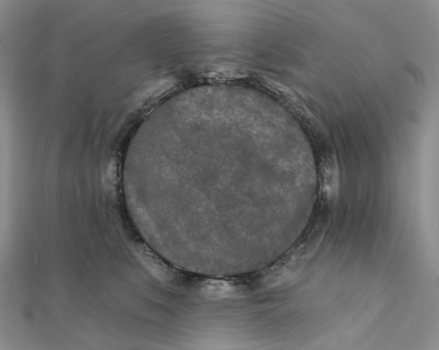 X0000111790519200908061139