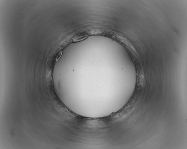 X0000111790521200908061139