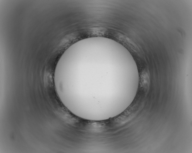 X0000111790522200908061139