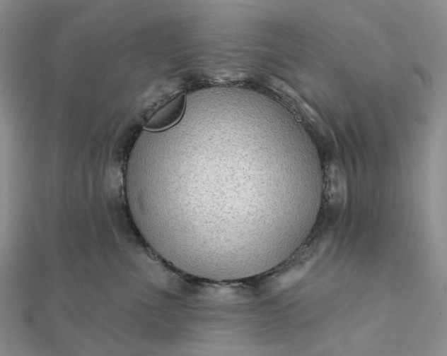 X0000111790523200908061139