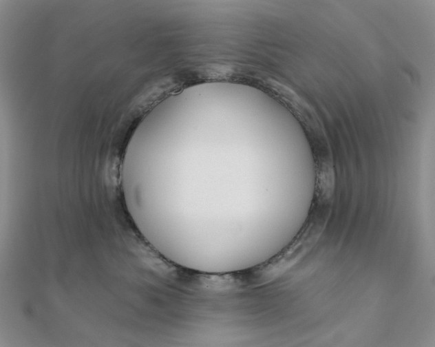 X0000111790525200908061139