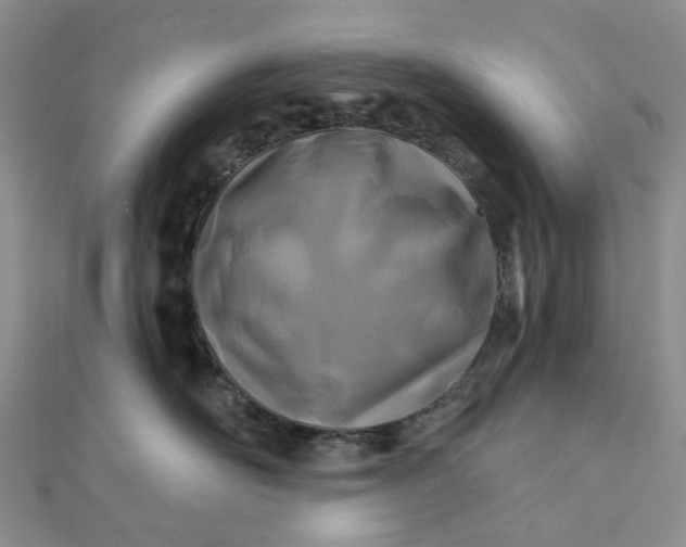 X0000111790526200908061139