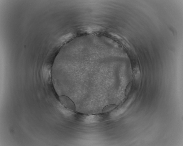 X0000111790527200908061139