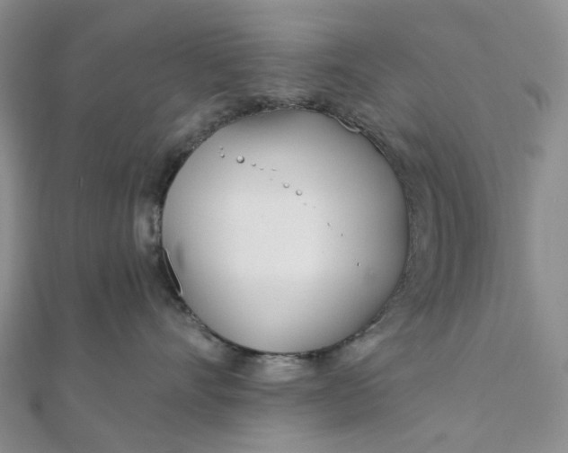 X0000111790528200908061139