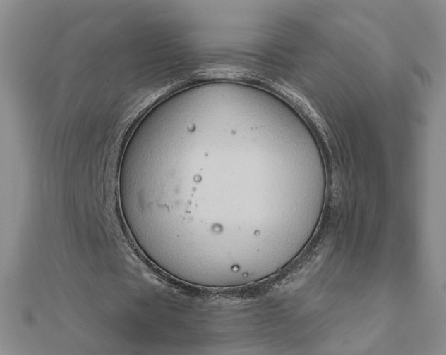 X0000111790529200908061138