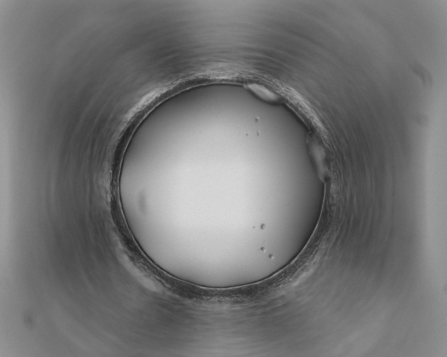 X0000111790530200908061138