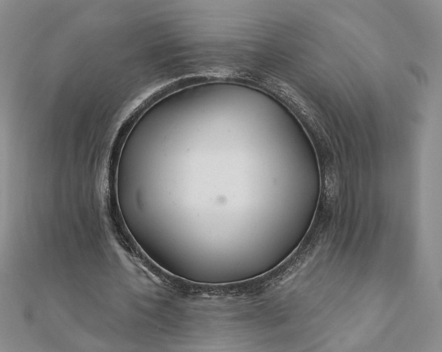 X0000111790532200908061138